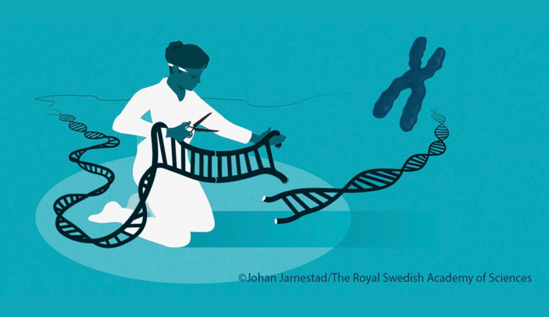 Ilustração sobre o CRISPR de © Johan Jarnestad / A Real Academia Sueca de Ciências que mostra uma mulher recortando o DNA