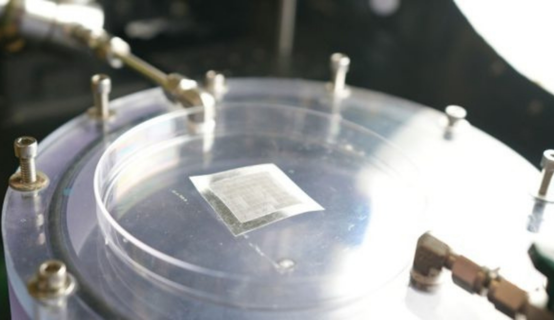 A equipe comparou penas sintéticas de pato e naturais no laboratório e descobriu que ambas tiveram um bom desempenho em repelir água.