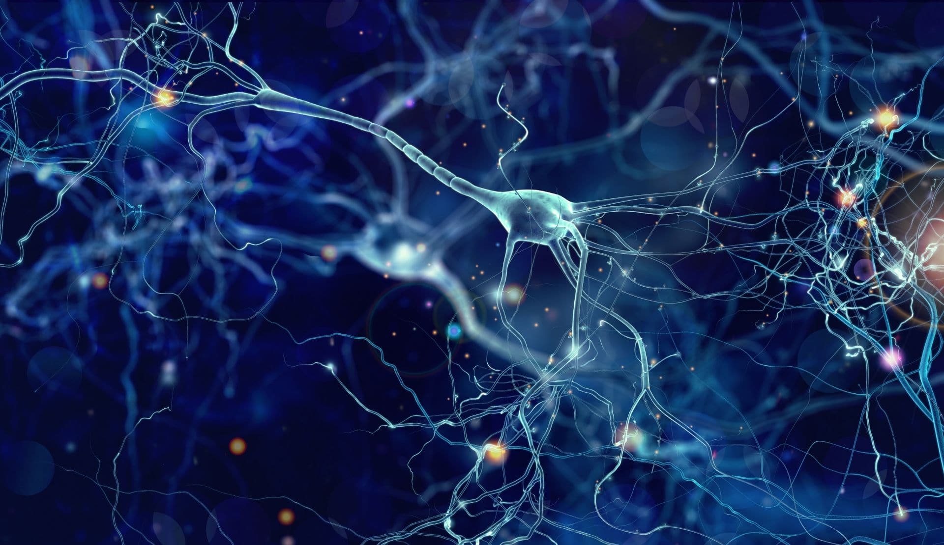 Université de Montréal consegue bioimpressão 3d de células cerebrais (imagem ilustrativa de neurônio natural, não corresponde à pesquisa)